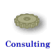 Consulting